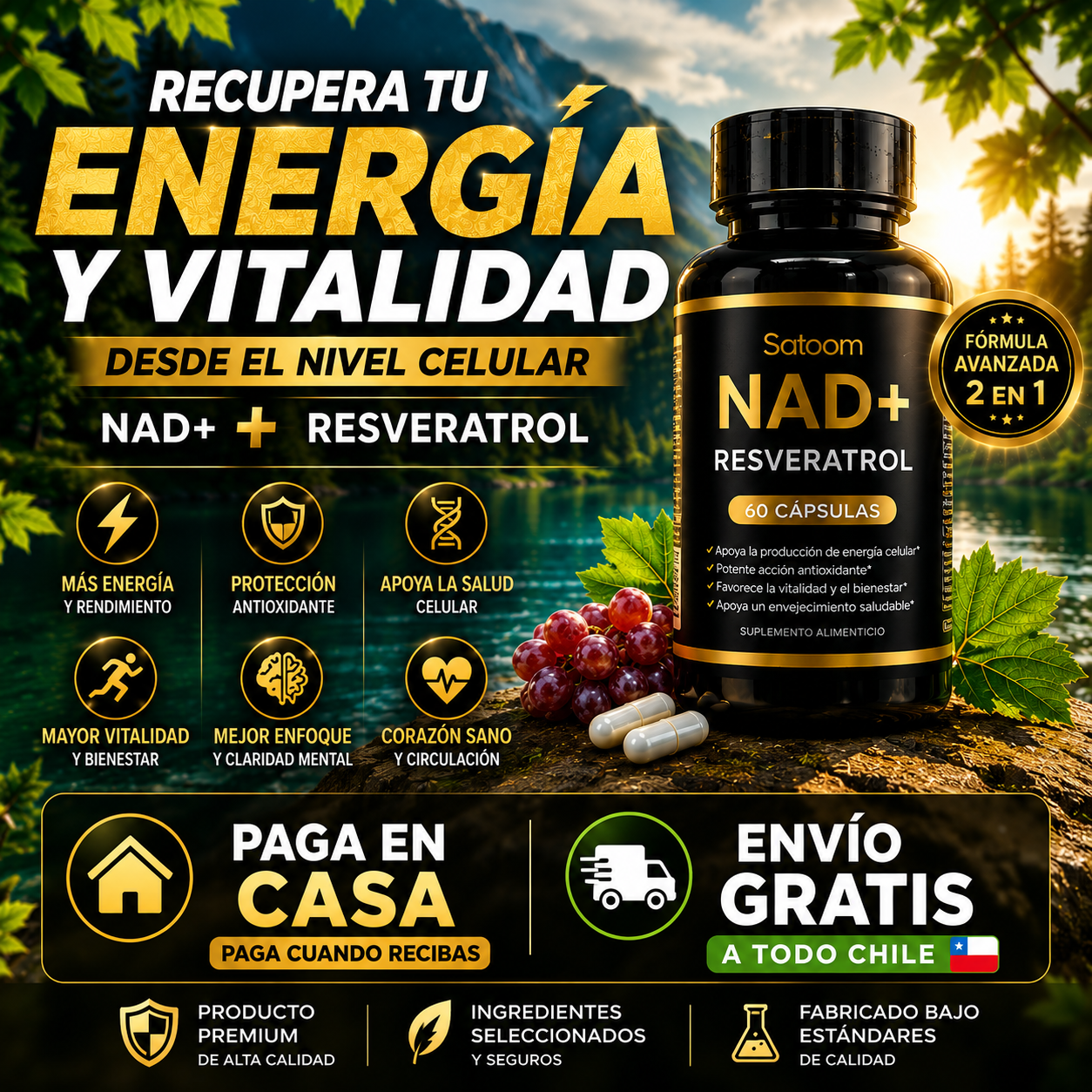 NAD+RESVERATROL | 60 Cápsulas – Energía y Juventud Celular ✨